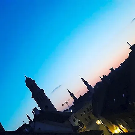 Wollner فندق