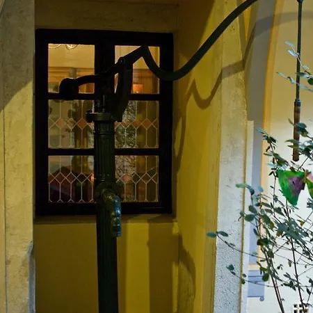 Ξενοδοχείο Wollner 4*